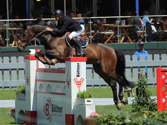 机会在联赛 机会在联赛