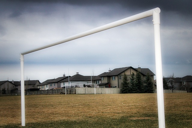 阵卢森堡的 阵卢森堡的