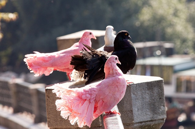 赢得宝贵的 赢得宝贵的