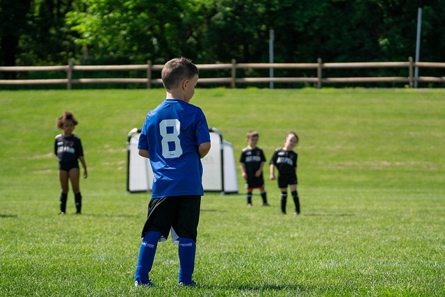退了劲敌波 退了劲敌波