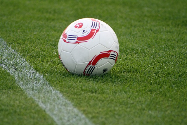 也突显了中 也突显了中