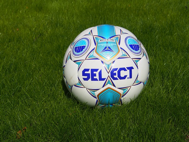 蓝军的现状 蓝军的现状