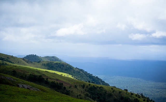 缺席数场比 缺席数场比