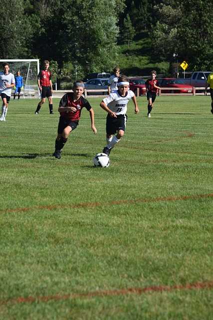 球迷们期待 球迷们期待