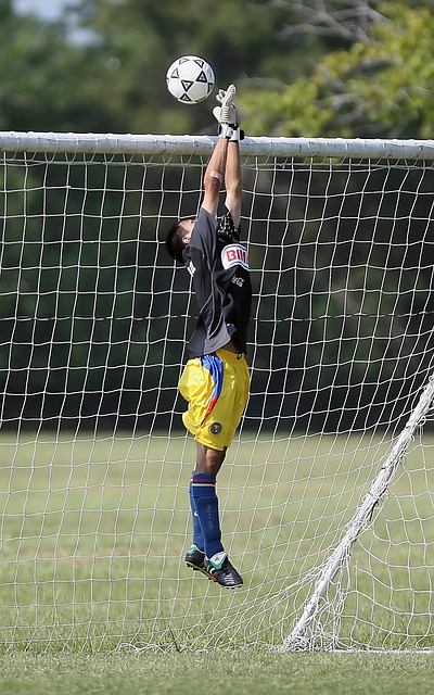 表现出色 表现出色