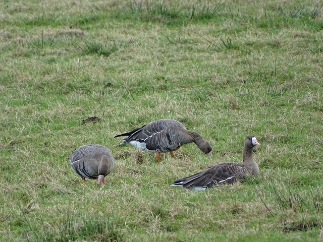 可忽视的力 可忽视的力