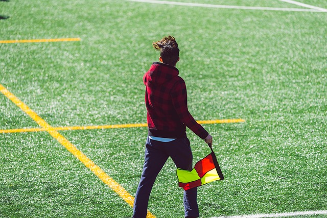 作为波波维 作为波波维